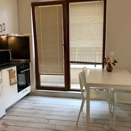 Sunny Dream * 소피아